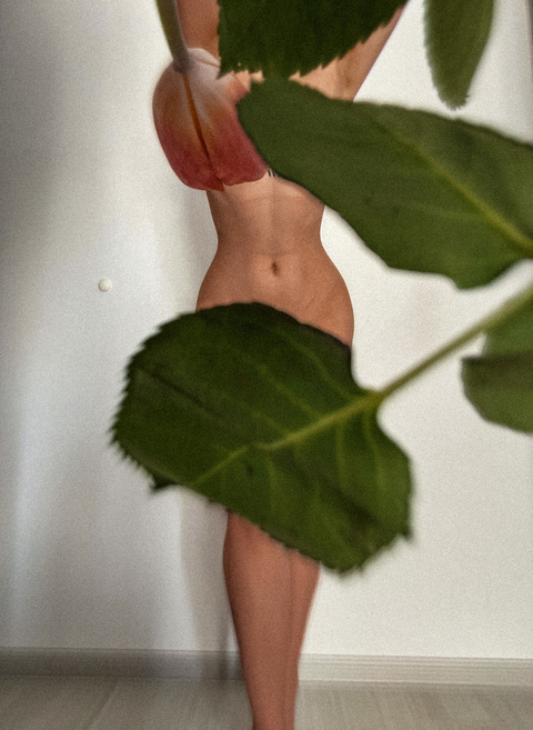 MDMA 777 @callmemd777 cover picture