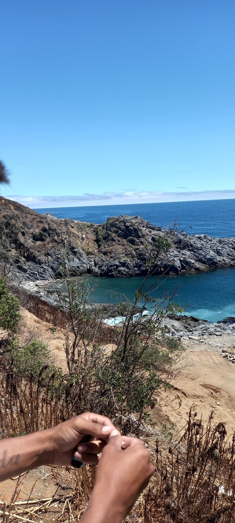 Cami @cami.sutra cover picture