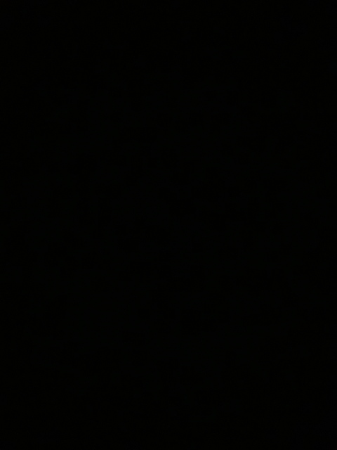 cami @camilaramirez cover picture