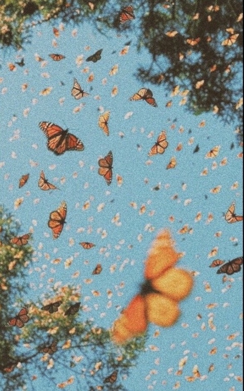 Cami @camilavida cover picture