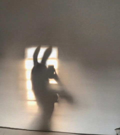 Cam Kc @camkc9 cover picture