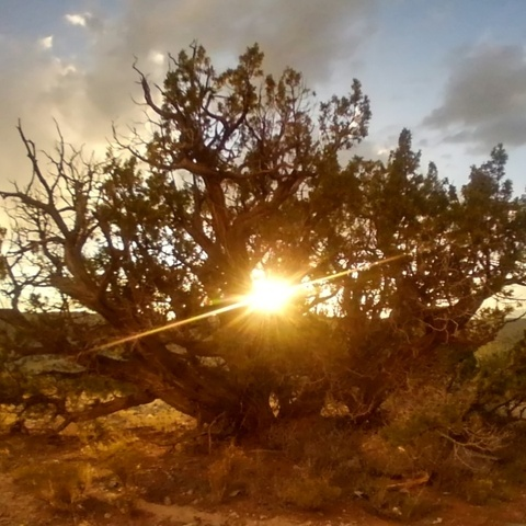 Jamie @campbells cover picture