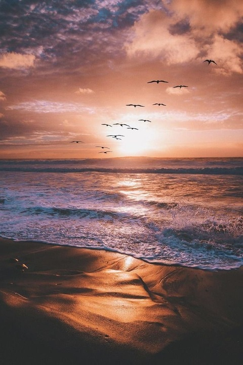 candace @candace21 cover picture