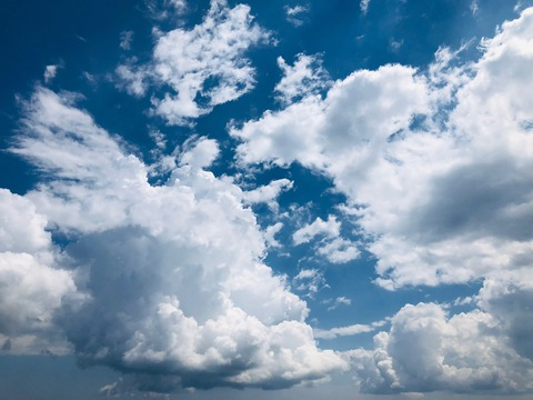 Candy April @candyaprilfree cover picture