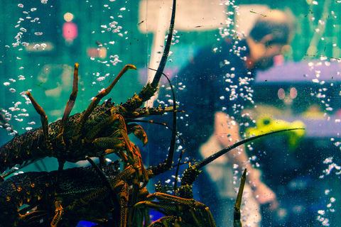 Cannibalism Variety Hour @cannibalismvarietyhour cover picture