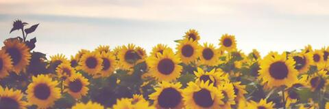 Caoimhe @caoimhecatriona cover picture