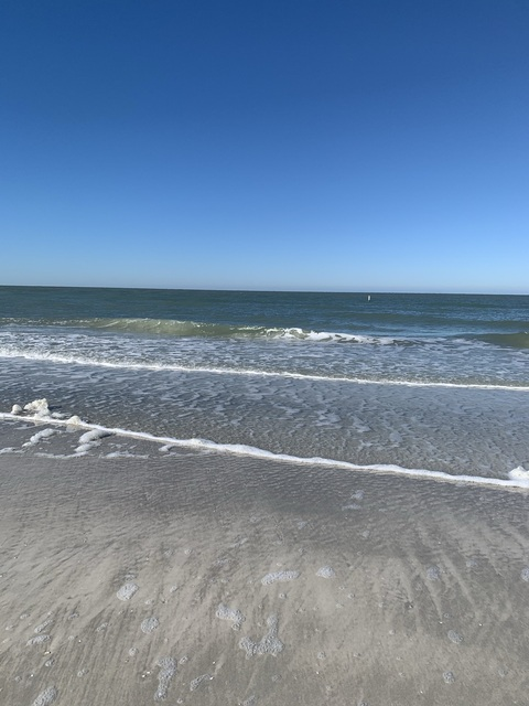 CapricornRuby @capricornrubies cover picture