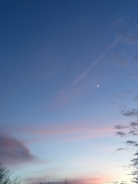 u66232607 @carnalflower cover picture