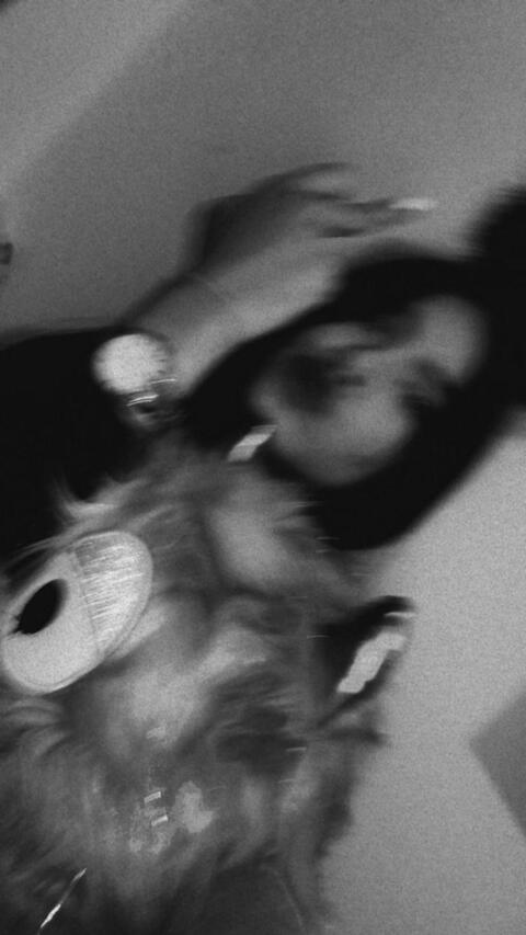 carolina zuñiga @carolinazuniga cover picture