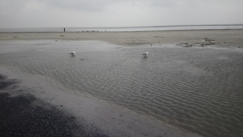 Cassandra @cassandra2020 cover picture