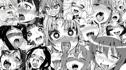 CassTheCat @cassthecato cover picture