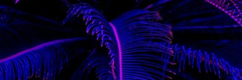 Emma @castaspelli cover picture