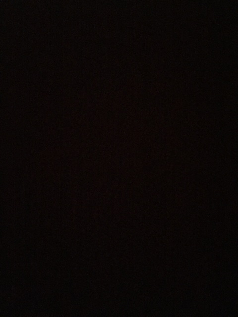 Catalina @cat21 cover picture