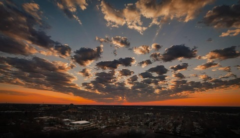 Cat @catslicksoap cover picture