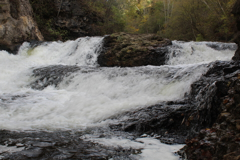 Maxx @cazzoenorme cover picture