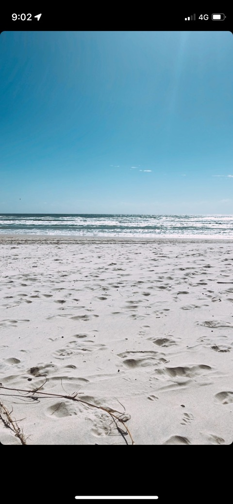 Mako #125 @cazzzzzzanova cover picture