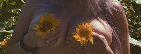 Blondie @cblondie cover picture