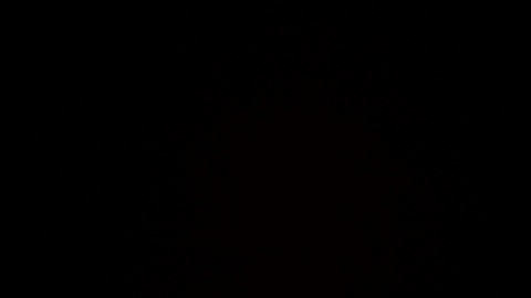 Cece-rose @cece-rose cover picture