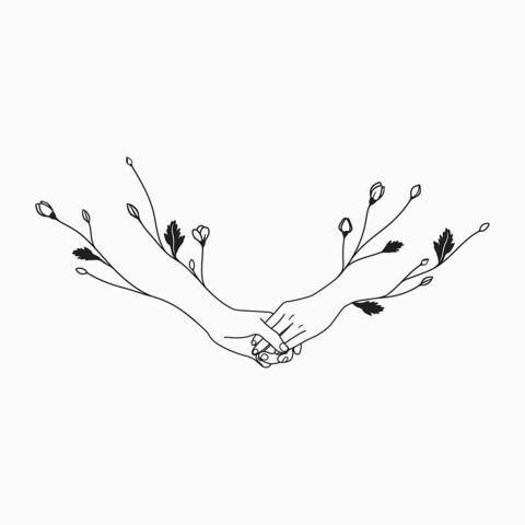 Celestun @celestun cover picture