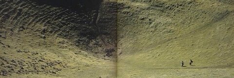 ham @cestodum cover picture