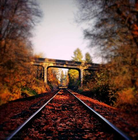 💕Daddy's Babygirl💕 @chaotic-cutie cover picture