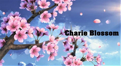 Charie Blossom @charieblossom cover picture