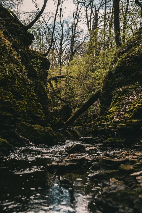 Charleyrose @charleyrose cover picture