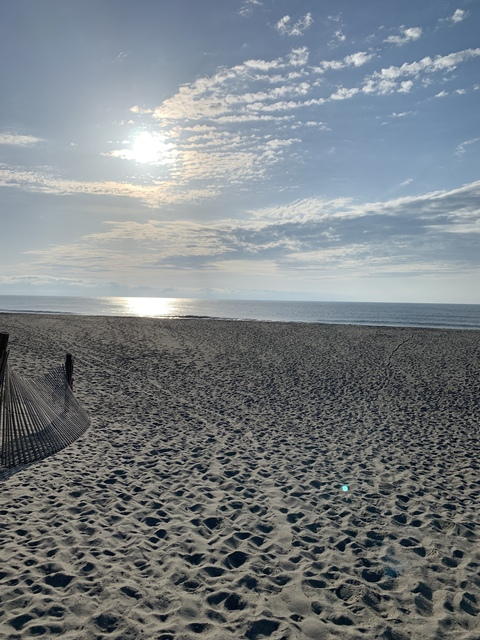 Charlie @charlietar cover picture