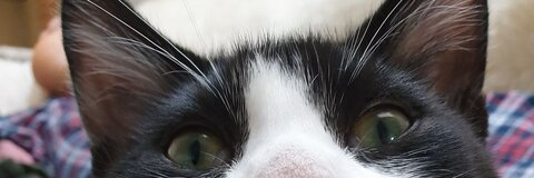 charlotte @charlotte_here cover picture