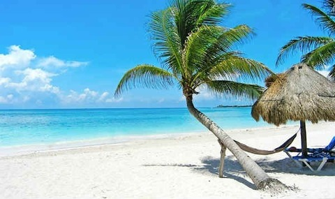 ☀️charlotte🌴 @charlottelatin cover picture