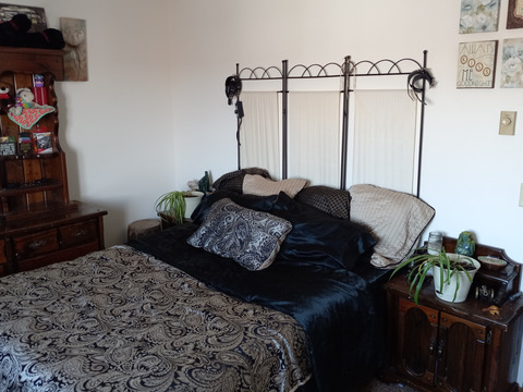 Charm Dingus @charming_dingus cover picture