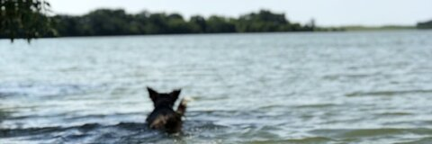 Cheech @cheech89 cover picture