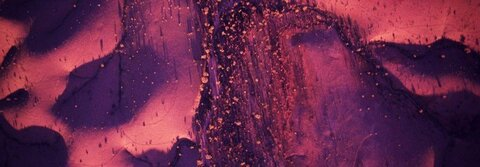 Chelsea @chelsear cover picture