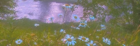 Cherish Mae @cherishmae cover picture