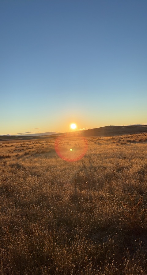 Cherry @cherry-lipz1 cover picture