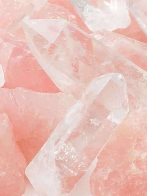 Cho @cherry_ntop cover picture