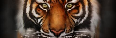 Cherrybomb98 @cherrybomb98 cover picture