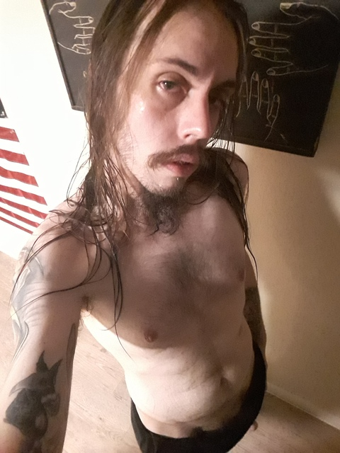 Wolf @cheshire_wolf cover picture