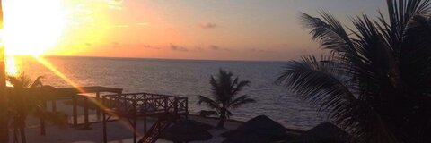 Chris Mcniff @chrismcniff cover picture