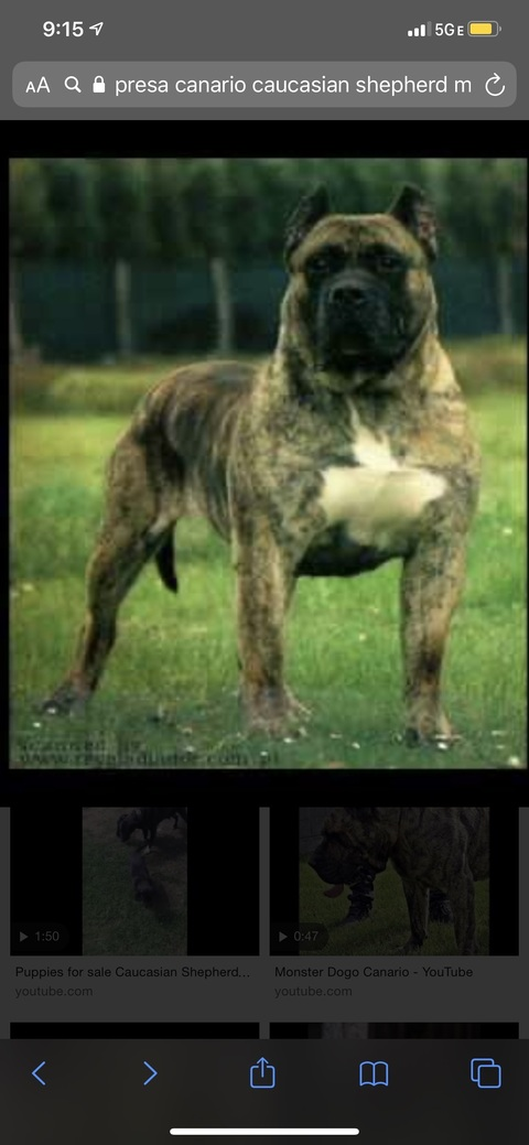 chuck @chucky_banks cover picture