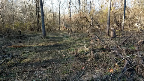 Chunkydunkhands @chunkydunkhands cover picture