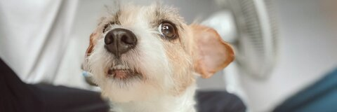 หน่องเฉา @churkouxx cover picture