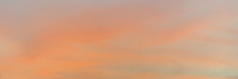 courtney @ciciibaby cover picture