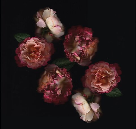 Cindy @cindyloubindi cover picture