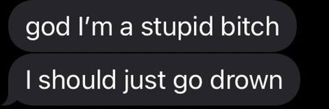 mica🦖 @citycaela cover picture