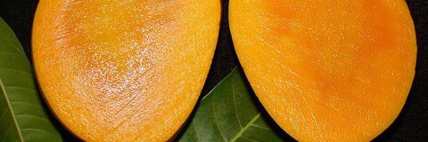 A @civbby cover picture