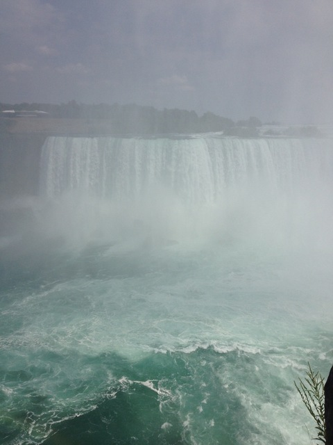 BWC @ck9x6 cover picture