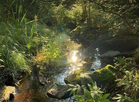 Cleo @cleobabi3 cover picture