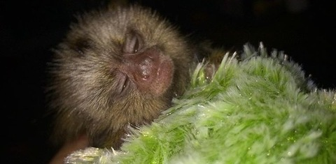 CMac Daddyy @cmacdaddyy cover picture