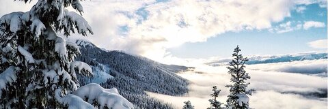 Cora @cmcknn cover picture